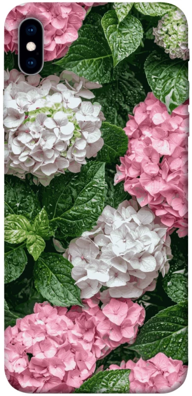 Чохол на Apple iPhone XS Max (6.5") Secret Garden фото 1 з 1