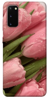 Чохол на Samsung Galaxy S20 Beauty фото 1 з 1