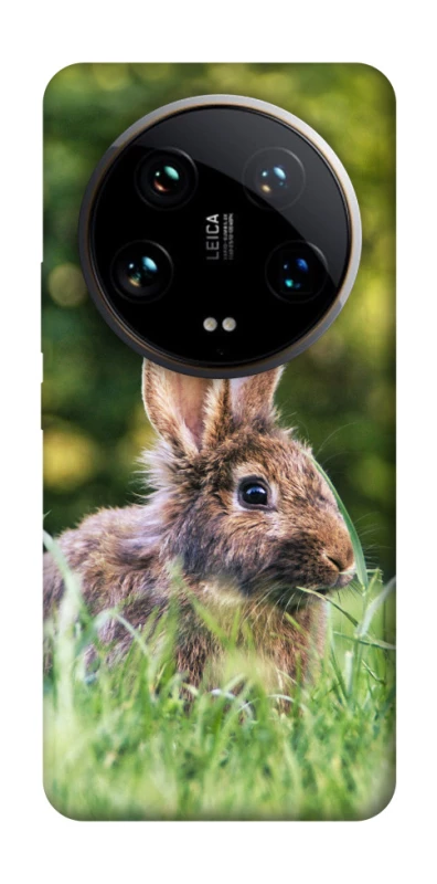 Чехол на Xiaomi 14 Ultra Кролики фото 1 из 1