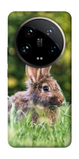 Чехол на Xiaomi 14 Ultra Кролики фото 1 из 1