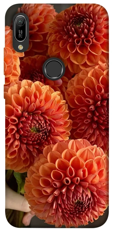 Чохол на Huawei Y6 (2019) Flower1 фото 1 з 1