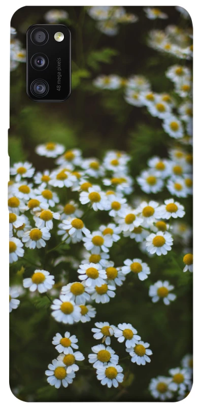 Чехол на Samsung Galaxy A41 Ромашки v13 фото 1 из 1