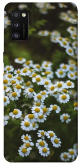 Чехол на Samsung Galaxy A41 Ромашки v13 фото 1 из 1