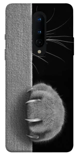 Чехол на OnePlus 8 Spy Cat фото 1 из 1