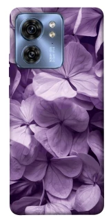 Чохол на Motorola Edge 40 Floral Symphony фото 1 з 1