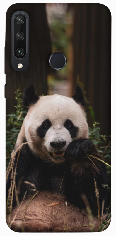 Чохол на Huawei Y6p Панда фото 1 з 1