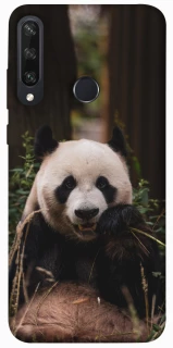 Чехол на Huawei Y6p Панда фото 1 из 1