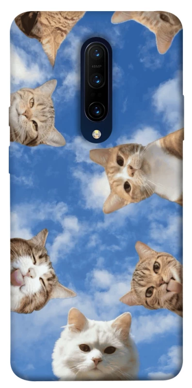 Чохол на OnePlus 7 Pro Сats фото 1 з 1