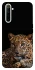 Чохол на Realme 6 Leopard v4 фото 1 з 1