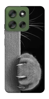 Чехол на Motorola Moto G56 5G Spy Cat фото 1 из 1