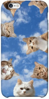 Чохол на Apple iPhone 6/6s plus (5.5") Сats фото 1 з 1