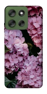 Чохол на Motorola Moto G56 5G Рожеві гартензії фото 1 з 1