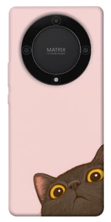 Чехол на Huawei Magic5 Lite Peeping cat фото 1 из 1