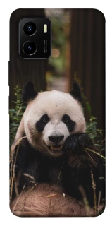 Чехол на Vivo Y15s Панда фото 1 из 1