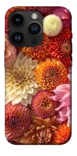 Чохол на Apple iPhone 14 Pro (6.1") Bouquet фото 1 з 1