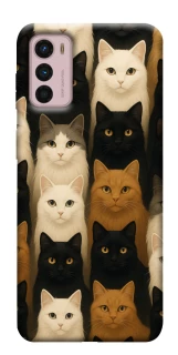 Чехол на Motorola Moto G42 Colorful Cat Collage фото 1 из 1