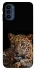 Чохол на Motorola Moto G41 Leopard v4 фото 1 з 1
