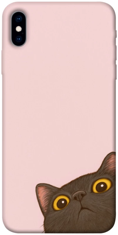 Чохол на Apple iPhone X (5.8") Peeping cat фото 1 з 1