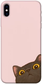 Чохол на Apple iPhone X (5.8") Peeping cat фото 1 з 1