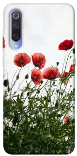 Чохол на Xiaomi Mi 9 Поле маків фото 1 з 1