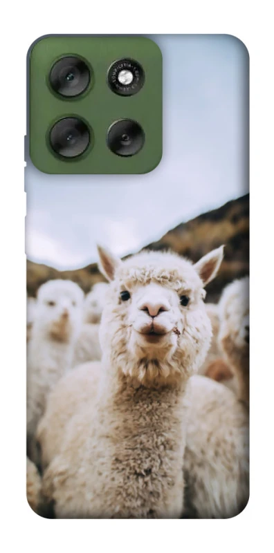Чехол на Motorola Moto G56 5G Лама фото 1 из 1