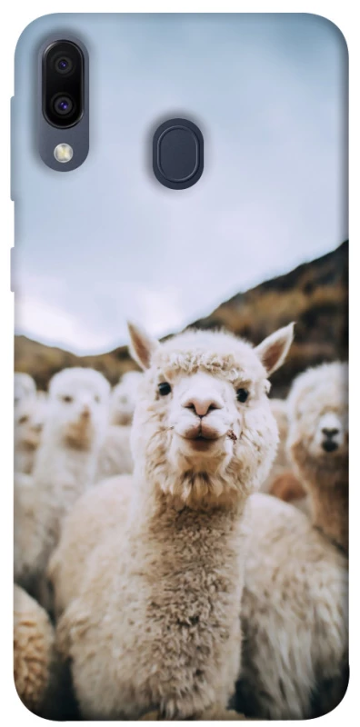 Чохол на Samsung Galaxy M20 Лама фото 1 з 1