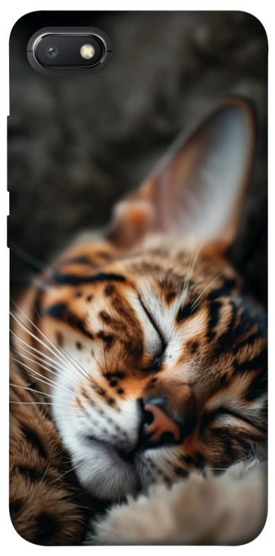 Чехол на Xiaomi Redmi 6A Cat paws фото 1 из 1