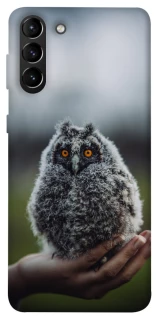 Чохол на Samsung Galaxy S21+ Совеня фото 1 з 1