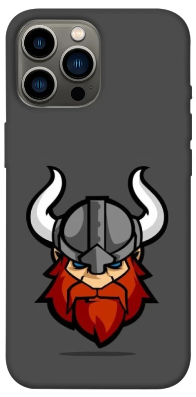 Чехол на Apple iPhone 12 Pro Max (6.7") Viking v3 фото 1 из 1