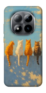 Чехол на Xiaomi Redmi Note 15 Pro 5G cats on wall фото 1 Чехол на Xiaomi Redmi Note 15 Pro 5G cats on wall фото 1 из 1