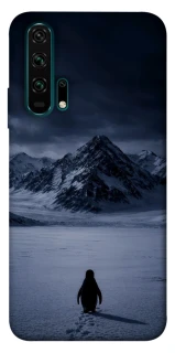 Чехол на Huawei Honor 20 Pro But why? фото 1 из 1