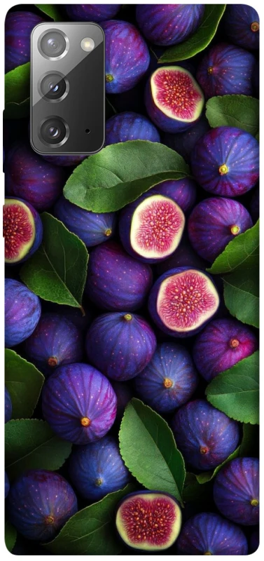 Чохол на Samsung Galaxy Note 20 Figs фото 1 з 1