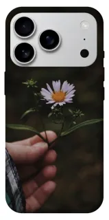 Чехол на Apple iPhone 18 Pro Max Ромашка v4 фото 1 из 2