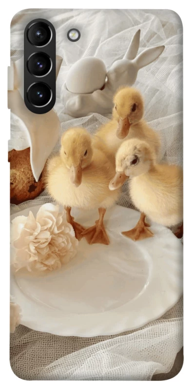 Чехол на Samsung Galaxy S21+ Easter Vibes фото 1 из 1