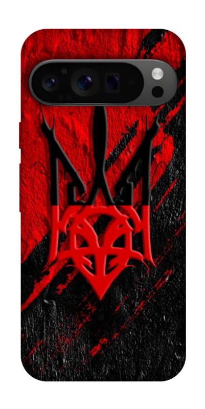 Чохол на Google Pixel 9 Pro Герб v17 фото 1 з 1