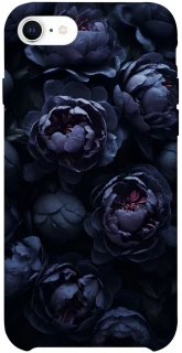 Чохол на Apple iPhone SE (2020) Sunny Snowdrops фото 1 з 1