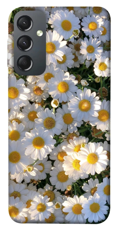 Чехол на Samsung Galaxy A24 4G Поле ромашек фото 1 из 1