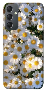 Чехол на Samsung Galaxy A24 4G Поле ромашек фото 1 из 1