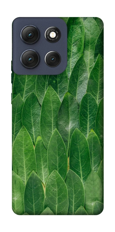 Чохол на Motorola Moto G86 Листя фото 1 з 1