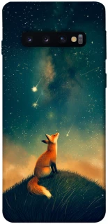 Чехол на Samsung Galaxy S10 Sky fox фото 1 из 1