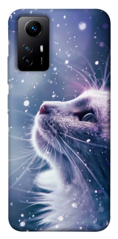 Чехол на Xiaomi Redmi Note 12S Snow cat фото 1 из 1