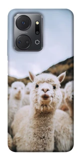 Чохол на Huawei Honor X7a Лама фото 1 з 1