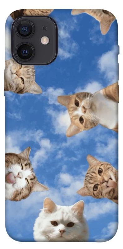 Чохол на Apple iPhone 12 (6.1") Сats фото 1 з 1