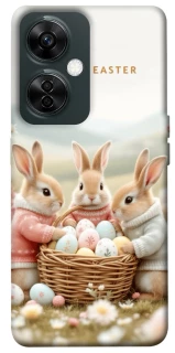 Чехол на OnePlus Nord CE 3 Lite BunnyMood фото 1 из 1