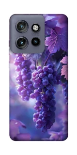 Чехол на Motorola Edge 50 Neo Bunch of grapes фото 1 из 1