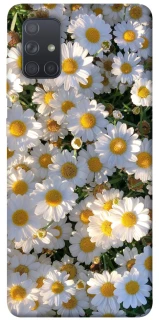 Чехол на Samsung Galaxy A71 Поле ромашек фото 1 из 1
