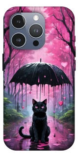 Чохол на Apple iPhone 16 Pro Max Black cat фото 1 з 1