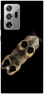 Чехол на Samsung Galaxy Note 20 Ultra Cat фото 1 из 1