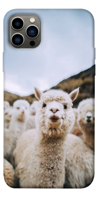 Чехол на Apple iPhone 12 Pro (6.1") Лама фото 1 из 1