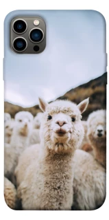 Чехол на Apple iPhone 12 Pro (6.1") Лама фото 1 из 1